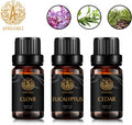 Aromatherapy Cedar Essential Oil Set for Diffuser, 3X10ml 100% Pure Eucalyptus Essential Oil Kit for Humidifier - Eucalyptus, Cedar, Clove Essential Oil Set, Aromatherapy Clove Essential Oils Kit