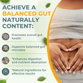Vital Gut Health 4In1 Formula With Apple Cider Vinegar, Prebiotics & Probiotics, Digestive Enzymes For Strong Immunity Support And Complete Gut And Digestion Support