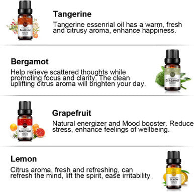 Top 12 Fruit Essential Oil Gift Set 100% Pure Aromatherapy Essential Oil (Grapefruit, Bergamot, Tangerine, Lemon, Strawberry, Red Raspberry, Mango, Coconut, Passion Fruit, Apple, Cherry, Watermelon)