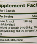 Nature's Bounty Ginkgo Biloba 120 Mg 100 Ea (Pack Of 3)