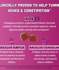 Llama Naturals Kids Probiotic with Prebiotic Fiber Vegan Organic Prebiotics and Probiotics Gummies for Gut Health Support Toddler Real Fruit Gummy Vitamins No Added Sugar Cane Mixed Berry 120 Ct