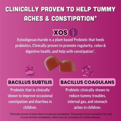 Llama Naturals Kids Probiotic with Prebiotic Fiber Vegan Organic Prebiotics and Probiotics Gummies for Gut Health Support Toddler Real Fruit Gummy Vitamins No Added Sugar Cane Mixed Berry 120 Ct