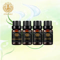 Aromatherapy Sandalwood Essential Oil Set for Diffuser, 100% Pure Jasmine Essential Oil Kit for Humidifier, 4x10ml Therapeutic Grade Myrrh Oil Set-Sandalwood Jasmine Myrrh Ginger Oil, Pure Ginger Oil