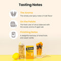 Teazen Highball Flavored Cocktail Mixers Mocktail Drink Mixers Electrolyte & Hydration Drink Mix Sugar Low Calorie Prebiotics 10 Sticks 1.76oz