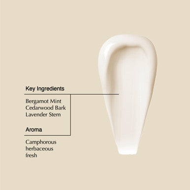 Aesop Conditioner Soften and Hydrate All Hair Types Nourishing Formula Enriched With Amino Acids Citrus, Earthy, Woody 16.9 oz / 500mL