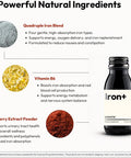 BIGVITA Iron+ | High Absorption Supplement with Microencapsulated Iron Drops + Folate, B6 & Cranberry Extract | No Metallic Taste, Mixed Berry Flavor, Gentle on Stomach | Energy & Hormonal Support