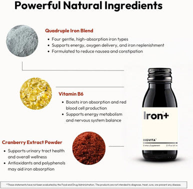 BIGVITA Iron+ | High Absorption Supplement with Microencapsulated Iron Drops + Folate, B6 & Cranberry Extract | No Metallic Taste, Mixed Berry Flavor, Gentle on Stomach | Energy & Hormonal Support