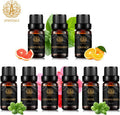 Aromatherapy Rosemary Essential Oil Set for Diffuser, 100% Pure Cedar Essential Oil Kit for Humidifier, 9x10ml Therapeutic Grade Essential Oils Set-Basil, Geranium, Grapefruit, Lemongrass, Orange Oil