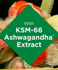 Natures Bounty 300Mg Ashwagandha Extract Mixed Berry 60 Gummies