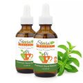 Stevia Select Organic Stevia Powder Sugar Plant Based Stevia Sweetener Non GMO Pure Stevia Extract Sugar Substitute No Additives Zero Calorie 4 Oz