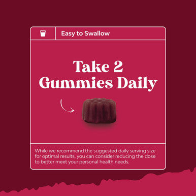 Elderberry Vitamin C And Zinc Gummies - Advanced Immune Booster Sambucus Elderberry Gummies For Adults - Super Antioxidants Supplement Immunity Gummies - Vegan Halal Black Elderberry Gummy 90Ct
