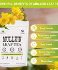 HERBALICIOUS Mullein Leaf Tea Bags For Lungs Cleanse, Detox & Respiratory Support - Caffeine Free Natural Mullein Herbal Tea - 100% Pure Non-Gmo And Gluten Free Mullein Tea - 30 Tea Bags