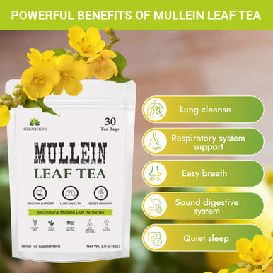 HERBALICIOUS Mullein Leaf Tea Bags For Lungs Cleanse, Detox & Respiratory Support - Caffeine Free Natural Mullein Herbal Tea - 100% Pure Non-Gmo And Gluten Free Mullein Tea - 30 Tea Bags
