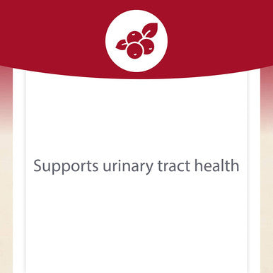 CranRich by Natural Factors Super Strength Cranberry Concentrate Antioxidant Supplement for Urinary Tract Support NonGMO 180 Capsules