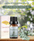 Sedbuwza 3 Pack Rosemary Eucalyptus Lavender Essential Oil Set 100% Pure Aromatherapy Mothers Day Gifts Oils for Massage, Skin and Hair Care
