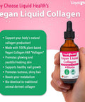 Liquidhealth Vegan Daily Essentials Vitamin Starter Kit with Organic Methyl B12 Drops Vegan Liquid Collagen + Biotin Vegan Liquid Iron Vegan Vitamin D3 Drops - 100% Plant-Based Vitamin Supplements