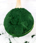 Dinavedic Spirulina Powder, 400g | Vegan Superfood, Paleo, Keto, Rich in Antioxidants, Iron, and Vitamin B; is a Complete Protein; Use in Juices,Teas, Smoothies and Yogurts