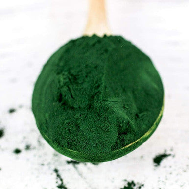 Dinavedic Spirulina Powder, 400g | Vegan Superfood, Paleo, Keto, Rich in Antioxidants, Iron, and Vitamin B; is a Complete Protein; Use in Juices,Teas, Smoothies and Yogurts