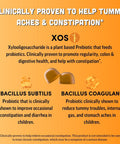 Llama Naturals Kids Probiotic with Prebiotic Fiber Vegan Organic Prebiotics and Probiotics Gummies for Gut Health Support Toddler Real Fruit Gummy Vitamins No Added Sugar Cane Peach Mango 120 Ct