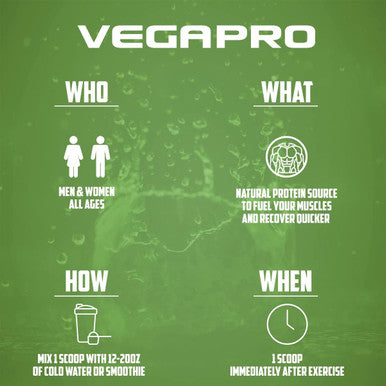 EPN Supplements Vegapro Vegan Protein Powder (28 Servings) Chocolate Brownie