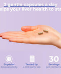 Liver Shield & Cleanse Herbal Liver Cleanse Detox & Repair Supplement Milk Thistle & Artichoke Extract Supplements Fatty Liver & Health Support 60 Capsules For Men And Women