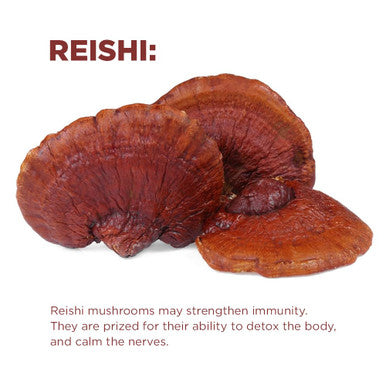 Terrasoul Superfoods Organic Cognitive Mushroom Coffee 30 Servings 14.29 Oz Energize Your Morning and Boost Focus with Powerful Mushrooms Compare to Ryze Mushroom Coffee