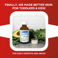 allKiDz - BioActive Iron Liquid 3.4 fl oz