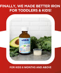 allKiDz - BioActive Iron Liquid 3.4 fl oz