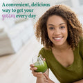 Garden of Life Perfect Food Berry Super Green Fruit & Veggie Formula - 30 Servings 49 Superfoods Greens Sprouts Fruits Veggies Probiotics Spirulina Vegetarian Juice Superfood Powder Supplement