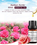 Rose Jasmine Essential Oil Set, 100% Pure Natural Aromatherapy Therapeutic Grade Essential Oils for Diffuser-2 X 10ml