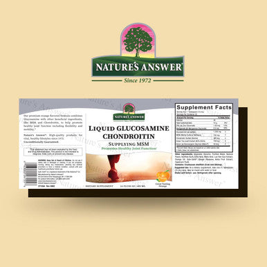 Nature'S Answer Liquid Glucosamine Chondroitin Orange 16 fl oz (480 ml)