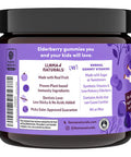 Llama Naturals Elderberry Gummies for Kids Vegan Organic Immune Support Supplement with Vitamin C and Zinc Toddler Real Fruit Gummy Vitamins for Immunity Chewable No Added Sugar Cane 120 Ct