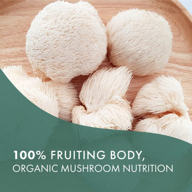 Pure Essence Labs MyPure Lions Mane Organic Mushroom Supplement - 100% Real Mushroom Extract for Immune Support, Combat Stress, Build Energy - Best Immune Booster for Men and Women (30 Capsules)