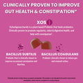 Llama Naturals Probiotics for Women and Men with Prebiotic Fiber Vegan Organic Probiotic Gummies for Gut Health Support Adults Real Fruit Gummy Vitamins No Added Sugar Cane Mixed Berry 60 Ct