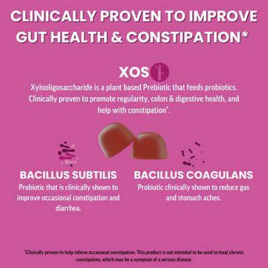 Llama Naturals Probiotics for Women and Men with Prebiotic Fiber Vegan Organic Probiotic Gummies for Gut Health Support Adults Real Fruit Gummy Vitamins No Added Sugar Cane Mixed Berry 60 Ct