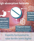 High Absorption Chelated Iron Bisglycinate 20mg with Vitamin C, Gentle Iron, Targeted Release, One Daily, Vegan, 180 Tablets, by Igennus