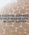 Cerave Daily Skin Care (Hydrating Bundle)