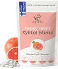 Xylitol Mints for Oral Care - Apple flavor, with Xylitol and Erythritol, Sugar Free Candy, Happy Teeth dental mints from Finland, 5 oz - 265 mints