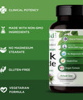 Emerald Labs European Milk Thistle - Organic Milk Thistle Extract - Supports Liver Health & Helps Maintain Natural Energy, Digestion & Brain Health - 60 Vegetable Capsules (Up To 60-Day Supply)