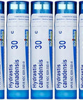 Boiron Hydratis Canadensis 30C 5Pack Of Of 80 Pellet Tubes Homeopathic Medicine For Postnasal Drip
