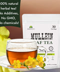 HERBALICIOUS Mullein Leaf Tea Bags For Lungs Cleanse, Detox & Respiratory Support - Caffeine Free Natural Mullein Herbal Tea - 100% Pure Non-Gmo And Gluten Free Mullein Tea - 30 Tea Bags