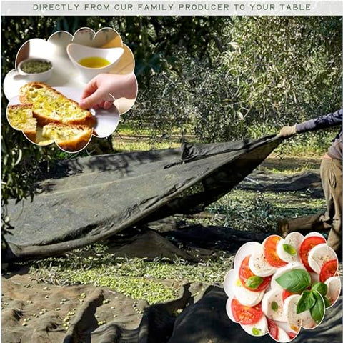 WellEatable Robust +1,200 mg/kg Polyphenol Rich Olio Italiano, 2024/25 Early Harvest Organic Extra Virgin Olive Oil from Italy, Lab Tested, Cold Extracted for Drinking and Finishing, 16.9 fl oz