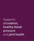 Celery Seed Extract by Natural Factors Herbal Supplement for a Healthy Circulatory System 120 Capsules