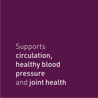 Celery Seed Extract by Natural Factors Herbal Supplement for a Healthy Circulatory System 120 Capsules