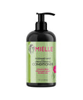 Mielle - Rosemary Mint - Biotin Infused - Encourages Growth Hair Products for Stronger and Healthier Hair - Shampoo & New Conditioner Styling Bundle Set 2 PCS