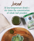 Garden of Life - Perfect Food Raw Super Green Formula Chocolate Cacao 11.9 Oz. 116527