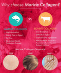 Bioglan Collagen Gummies | 1000mg | Hydrolysed Marine Collagen | Biotin | Selenium & Vitamin C | Strawberry Flavoured | 60 Gummies