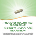 NatureS Way Iron Promotes Healthy Red Blood Cells 18 Mg From Iron Gluconate Per Serving Gluten 100 Capsules (Packaging May Vary)