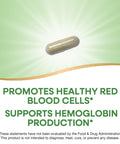Nature'S Way Iron Promotes Healthy Red Blood Cells 18 Mg From Iron Gluconate Per Serving Gluten Free 100 Capsules (Packaging May Vary)