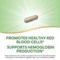 Nature'S Way Iron Promotes Healthy Red Blood Cells 18 Mg From Iron Gluconate Per Serving Gluten Free 100 Capsules (Packaging May Vary)